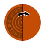 Tefal pottur 24cm 5L Talent Pro Induction - Image 3