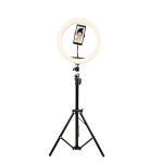 Denver 12" Hringljós